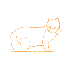 Animals Cats American Curl Cat Vinyl Cutting Svg File, Free Vectors File